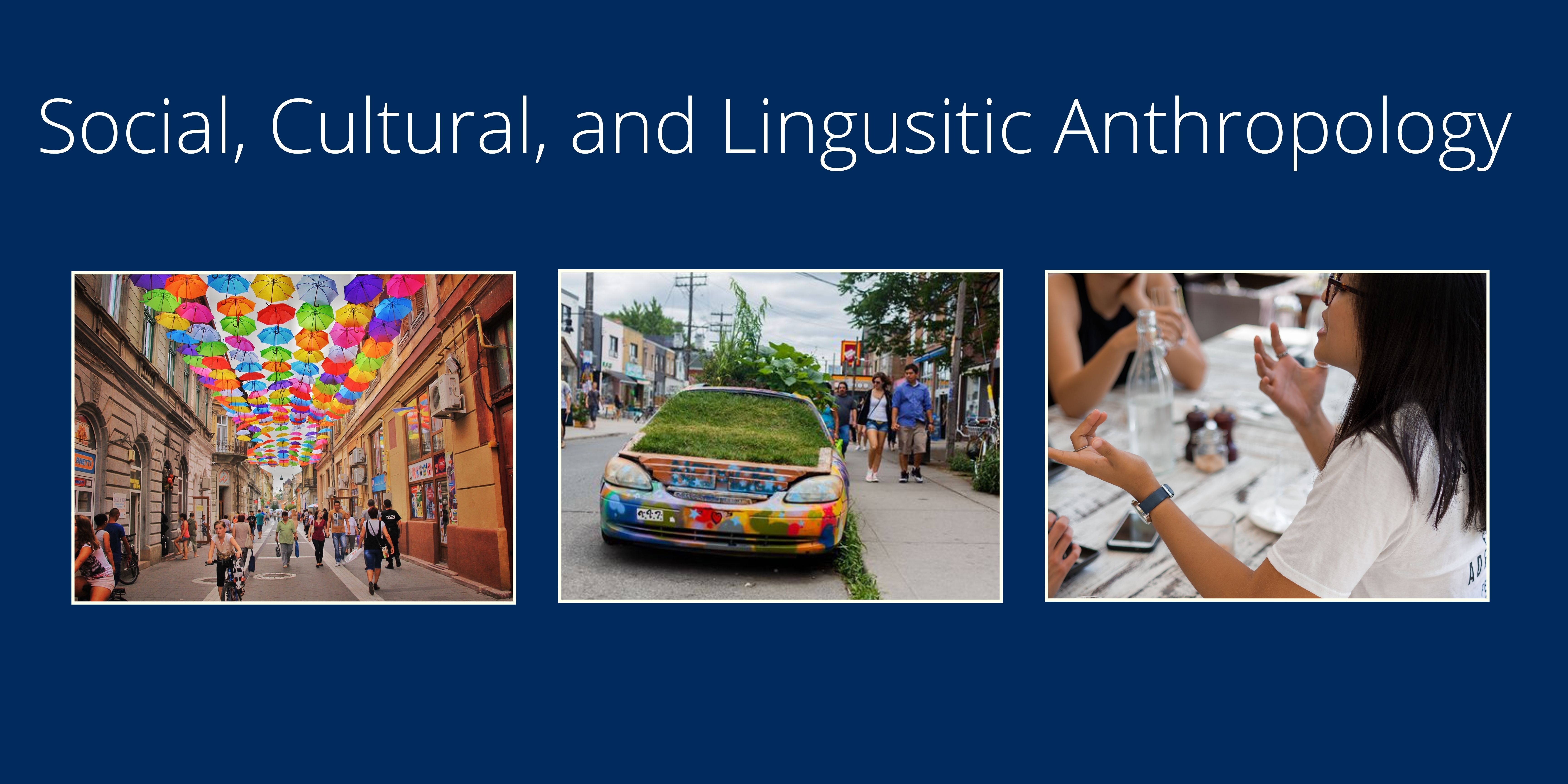 Three pictures: one of a busy street where people walk and ride bicycles beneath colorful umbrellas, another picture of a car filled with plants in Toronto's Kensington Market, and a third of a woman speaking and gesturing with her hands.