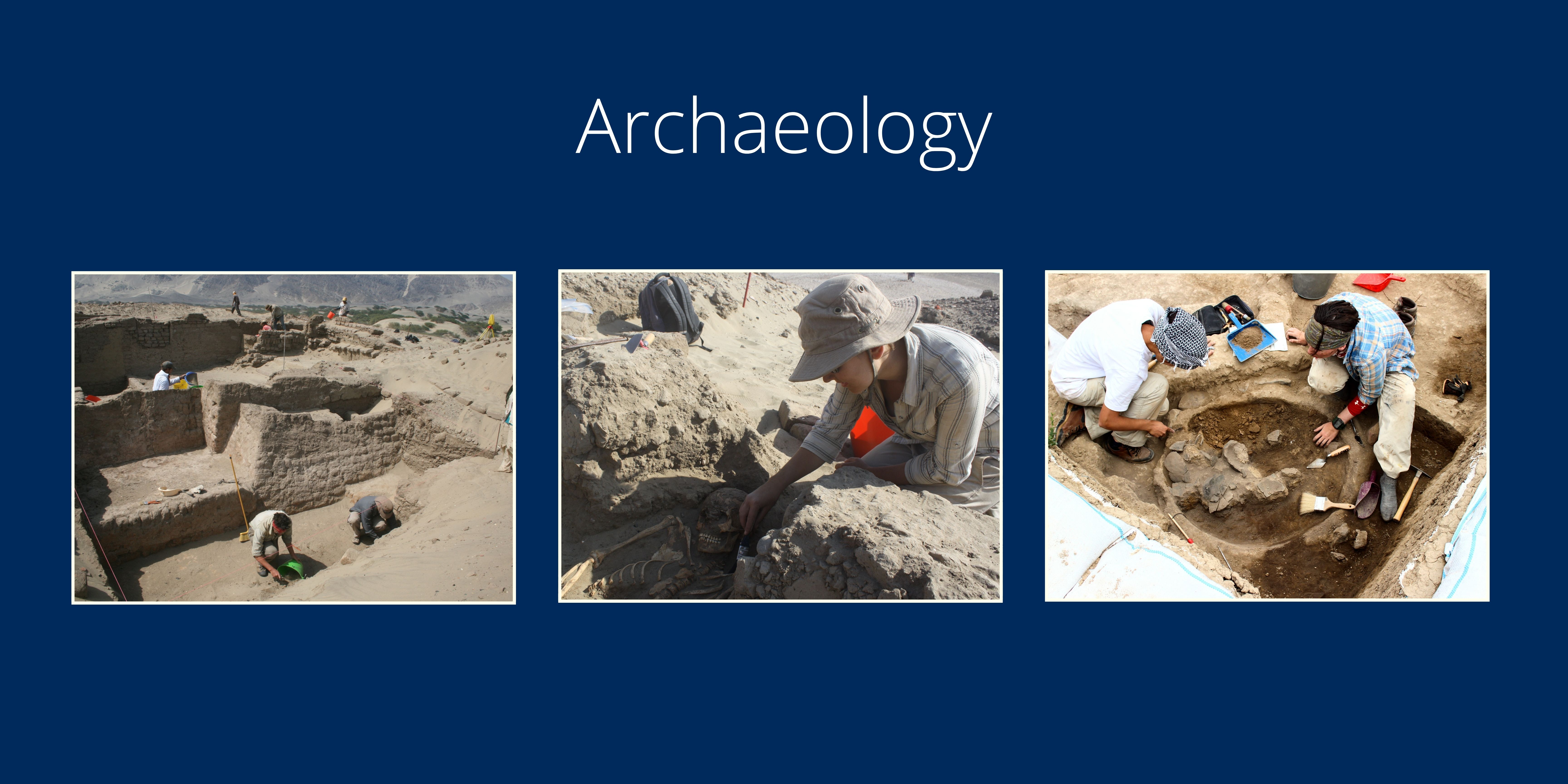 Three images: One of a dig site where researchers search the sand, another of a archaeologist uncovering a skeleton in the sand, and a third of two people talking at a dig site.
